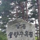 솔향수목원(솔숲광장) 이미지