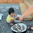 서하네민박