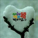 원조재첩국나루터식당 이미지