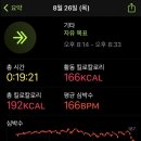 레스트데이