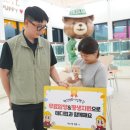 대구고양이분양 테디럽 이미지