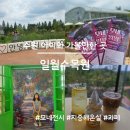 일월수목원전시온실 | 수원 가볼 만한 곳, 일월수목원 여름 방문 후기(지중해 온실, 모네 전시)