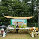 놀러와 놀이터 이미지