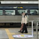 종로-연건-종로-연-406 | 대구 1박2일 뚜벅이 여행