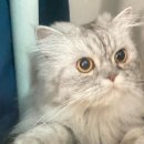 중랑차동물병원 이미지