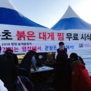 속초 붉은 대게 이미지