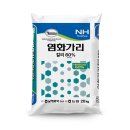 농장이야기 | 2026년8월23일 부건농장 일기/고추농사 이야기중 고추 후기 수확량 결정 분상염화가리(칼륨)관주하기