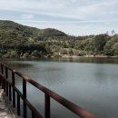 동항소류지 이미지