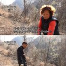 비수구미민박 이미지