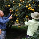 에덴팜스 이미지