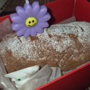 부용로 | <대전 두쫀쿠 투어> 오르카페, 점선면, 허레이 후기(+두바이김밥 / 미미제과점 웨이팅)