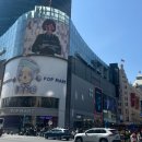 오케이카프라자 - 칠곡군 관문로 103 | 닉 주디 만나러 떠난 상해 3박4일 여행 첫째날 후기 (홍치아오공항, JI호텔, 레드립스, 소양생전, DQ...