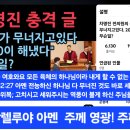 차명진 전의원의 충격 글...헌재가 무너지고있다. 2030이 해냈다. 무슨일? 이미지