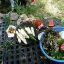 가덕농장 이미지