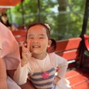 북파주농협 | [경기/파주] 44개월 아기와 함께 가볼만한 곳 “평화랜드” 다녀온 솔직후기