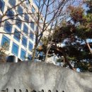 임 행정사 사무소 이미지