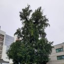 녹수사우나 이미지