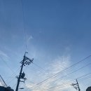 땅땅치킨 괴정점 이미지