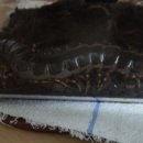 광포전자 이미지