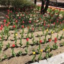 맘스터치 의정부역점 이미지