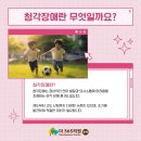 소리언어청각센터