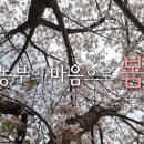 황수만 농장 이미지