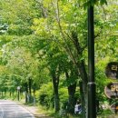 벌룬 매직 코믹 쇼 이미지