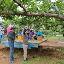 동산동 주민센터 이미지