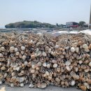 동백 태양광발전소 이미지