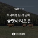 다모앙 제주