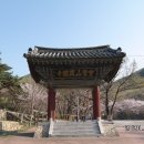 흥국사(매표소 옆) 이미지