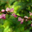 태하 성하신당 이미지