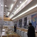 주식회사 펫트로 이미지