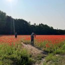 미사경정공원 이미지