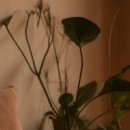 김희성한의원 이미지