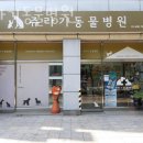 쥬라기동물병원 이미지