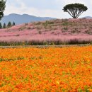 신소양체육공원 이미지