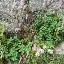 대성골1 이미지