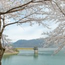 번암죽림정사로 이미지