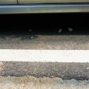 다혜꽃방 이미지