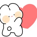 제주회포장바다회스시망고 이미지
