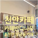 천안청당동카페 커피 맛집 카페반디나무