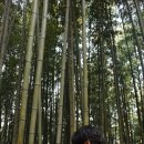 죽림원 이미지