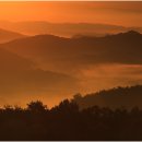 무릉도원 이미지