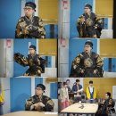 거성 티브이데일리