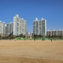 은골로 | 인천 미추홀구 조기축구 돌바위FC 운동 후기(20251116)
