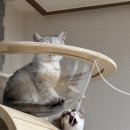 어서오세요 약국 | 어서오세요