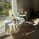 북대구 | [대구/고성동] 북구청역 감성 브런치 맛집 ‘홀란드’ 후기 🌿 유럽 분위기 낭낭한 곳