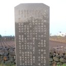 좌가연대 이미지