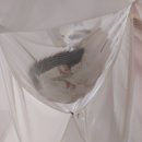 대의사우나 이미지